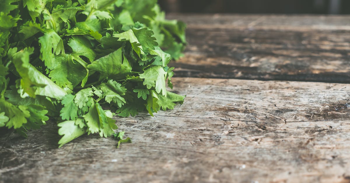Applebees Pico De Gallo Recipe