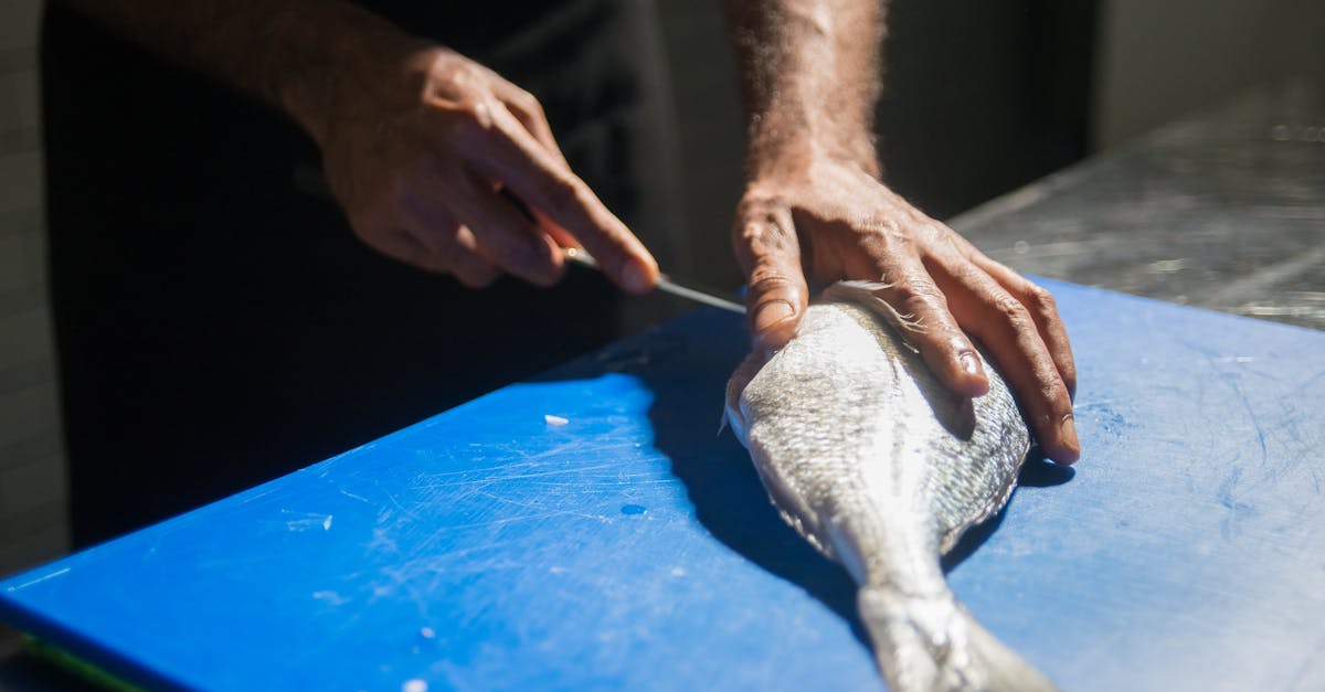 Sitka Seafood Recipes