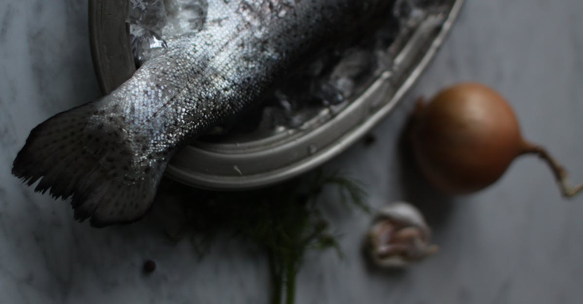 Filet Mignon Tail Recipe