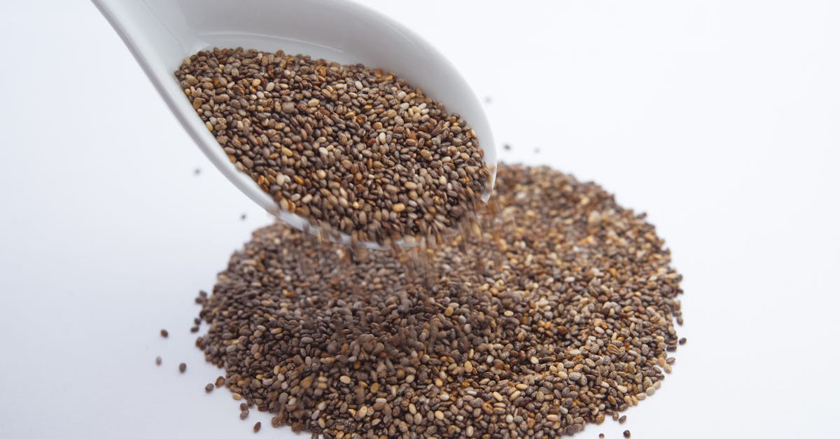 Chia Seed Recipes For Diabetics