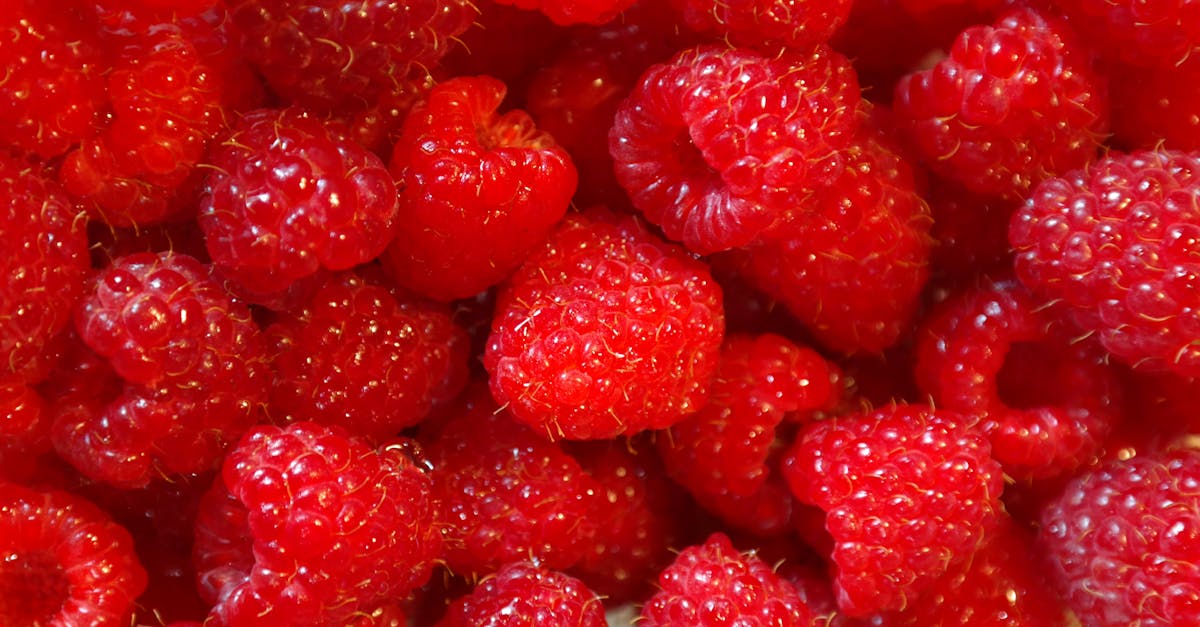Macro Friendly Dessert Recipes