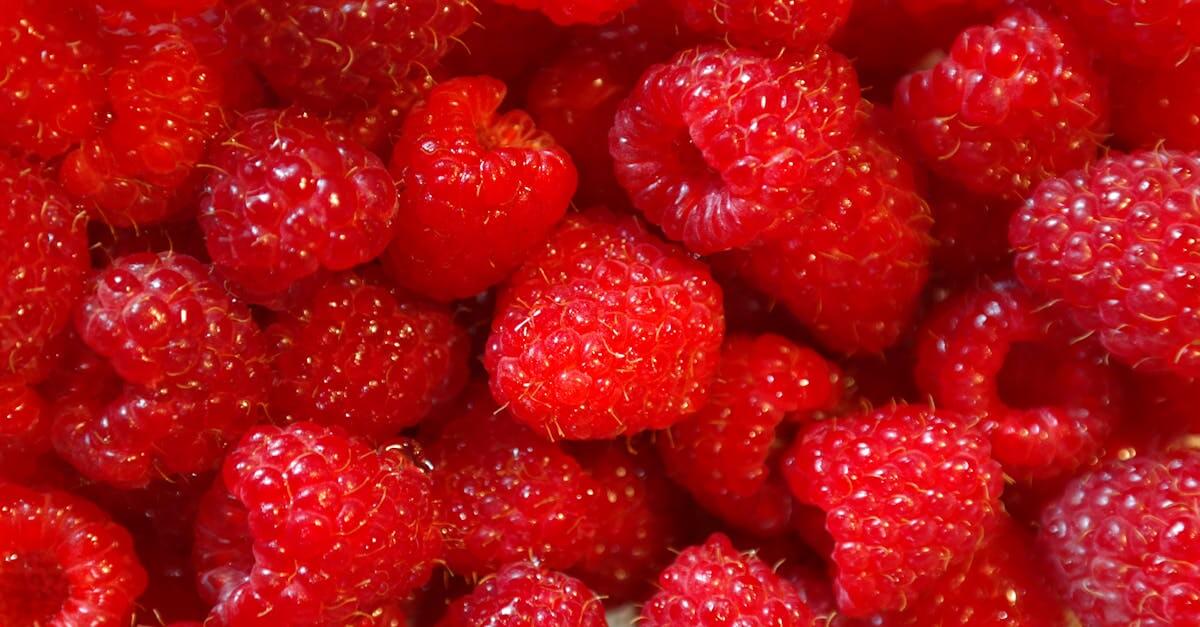 Berry Chutney Recipe