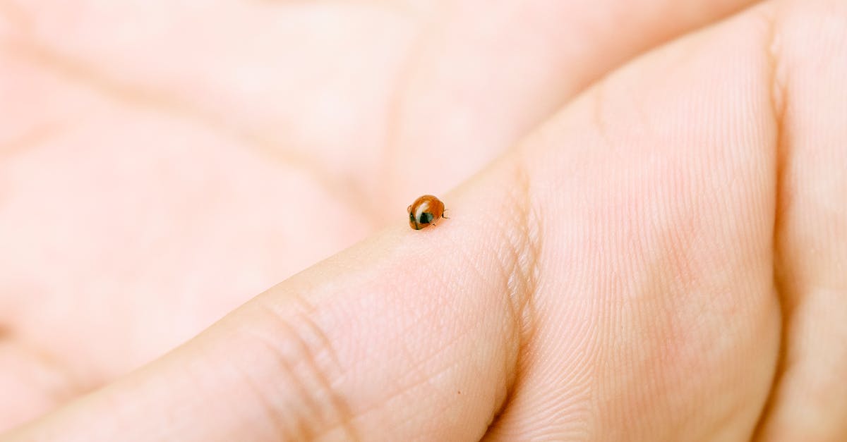 Skin So Soft Insect Repellent Recipe