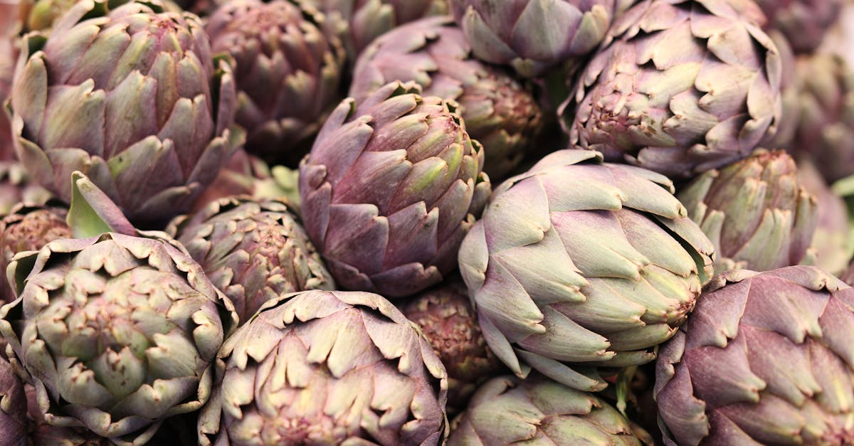 Purple Artichoke Recipe