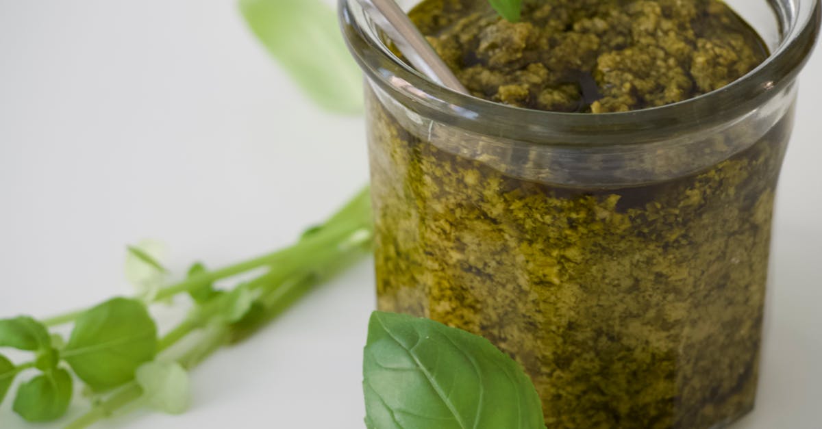 Recipes With Good Seasons Italian Dressing