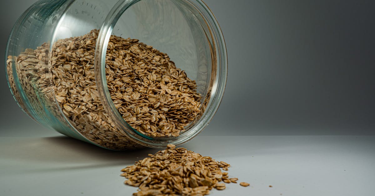 Vegan Gerd Recipes