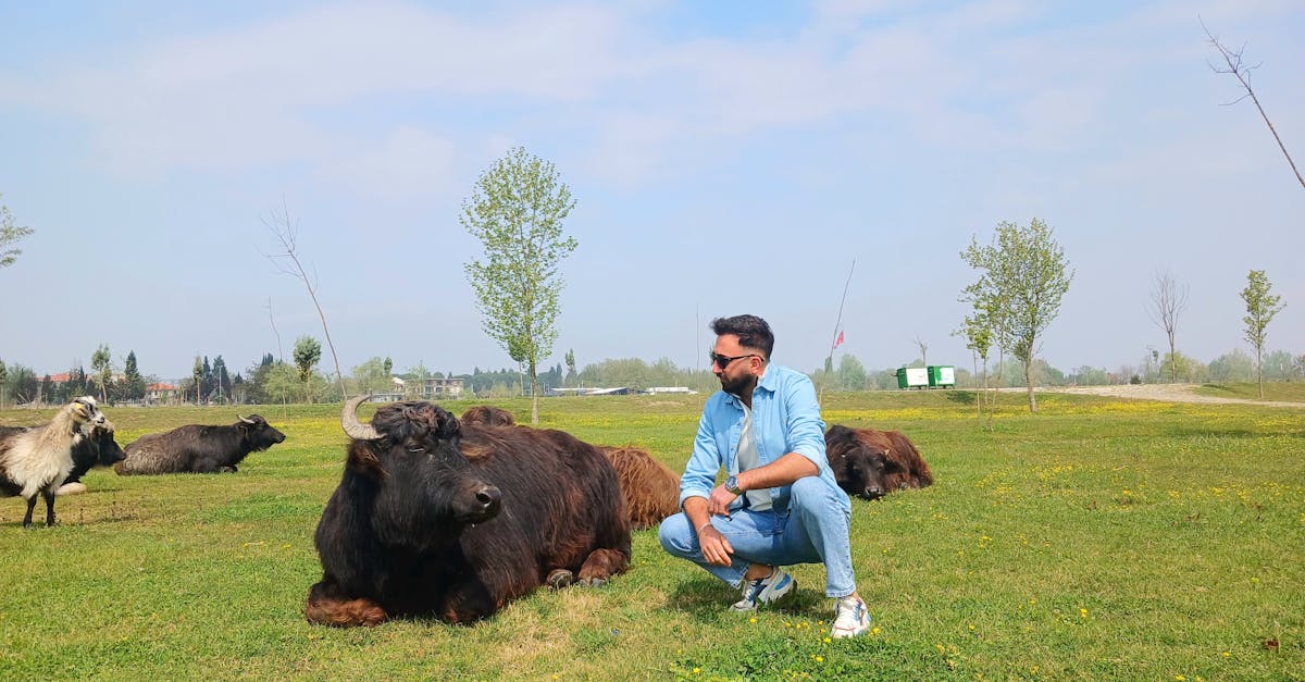 Yak Recipes