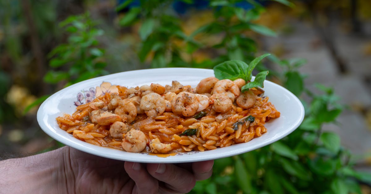 Orzo Kielbasa Recipes