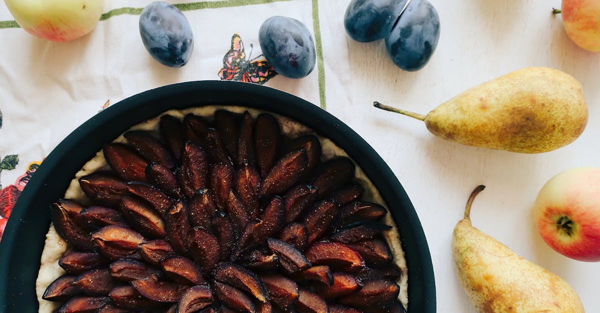 Santa Rosa Plum Recipes
