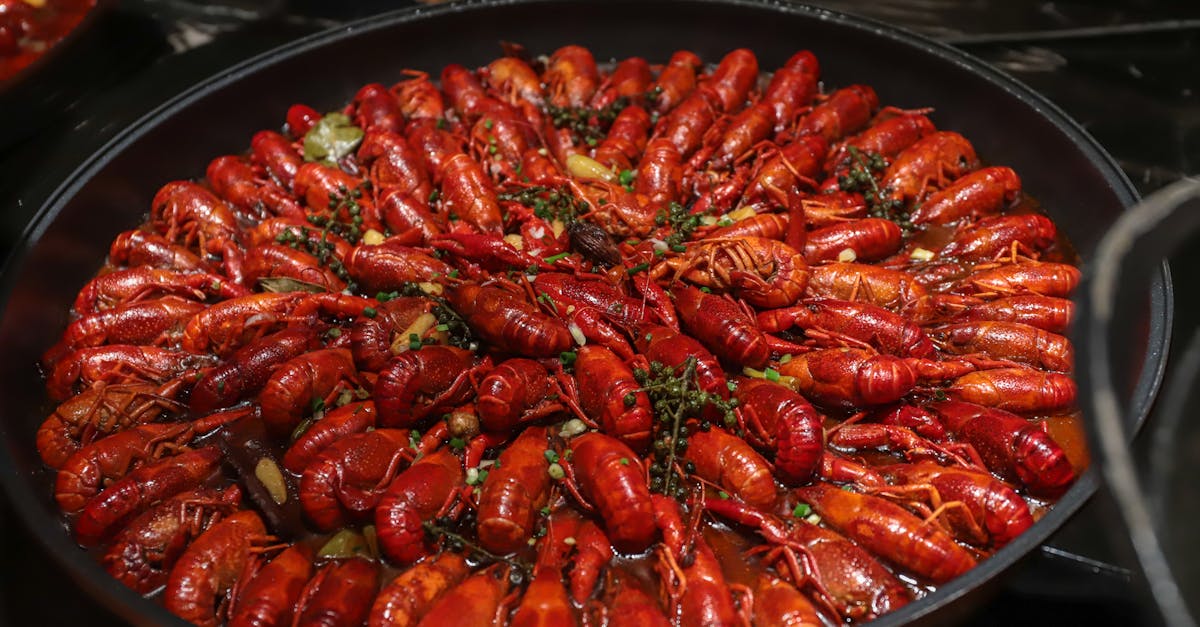 Recipe For Crawfish Enchiladas