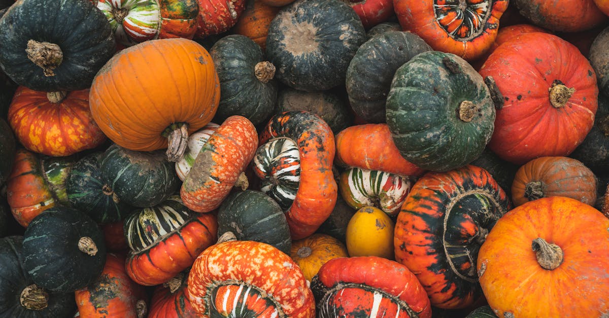 Heirloom Squash Recipes