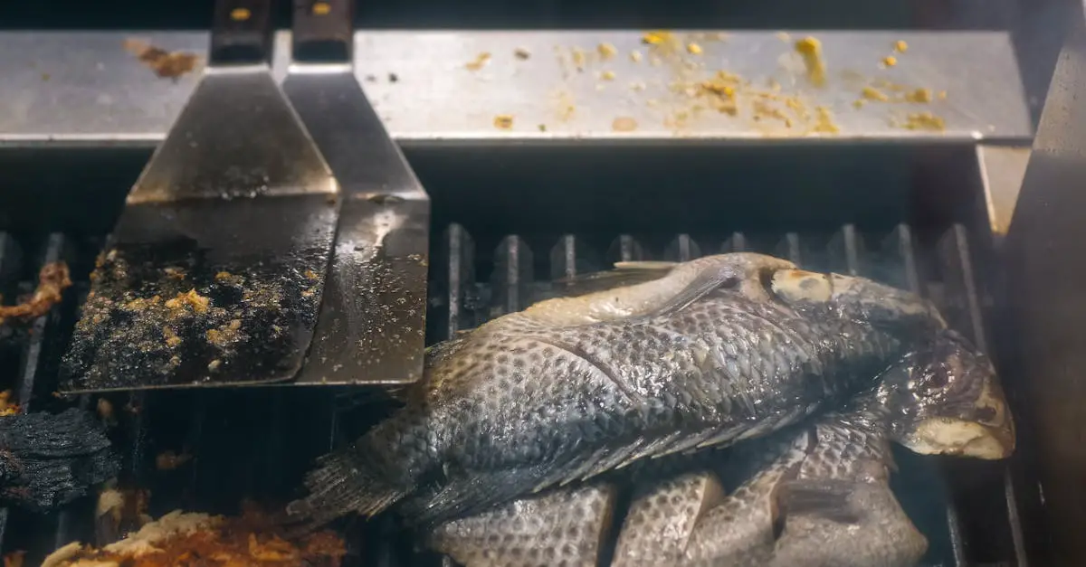 Smoking Carp Recipes