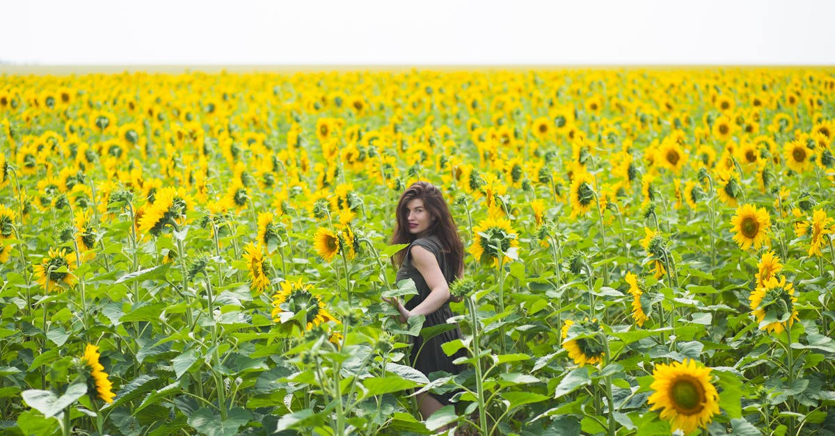 Sunflower Oil Recipes
