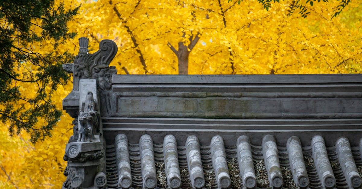 Ginkgo Biloba Tincture Recipe