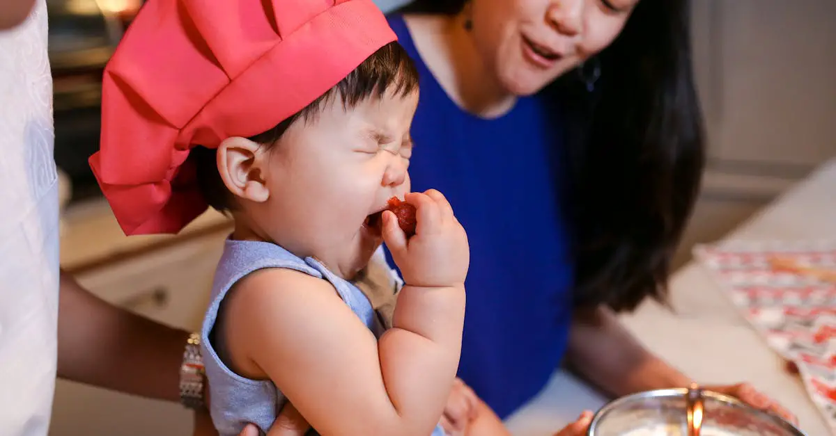 Baby Brezza Recipes