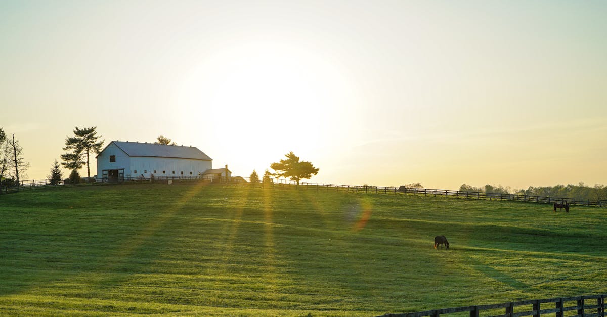Kentucky Sunrise Recipe
