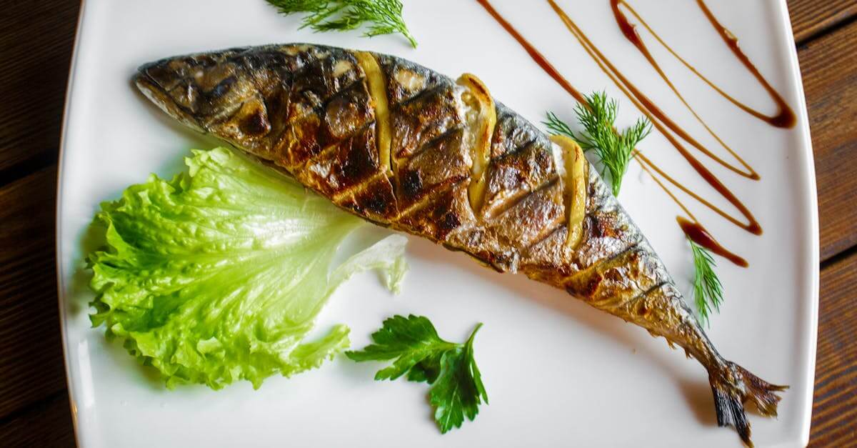 Fish Cat Food Recipes