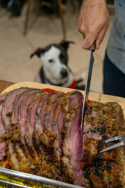 Beef and Vegetable Jerky Sticks Recipe for Dogs Guide