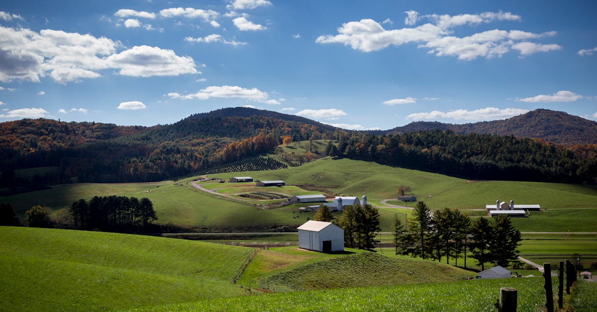 Carolina Country Recipes
