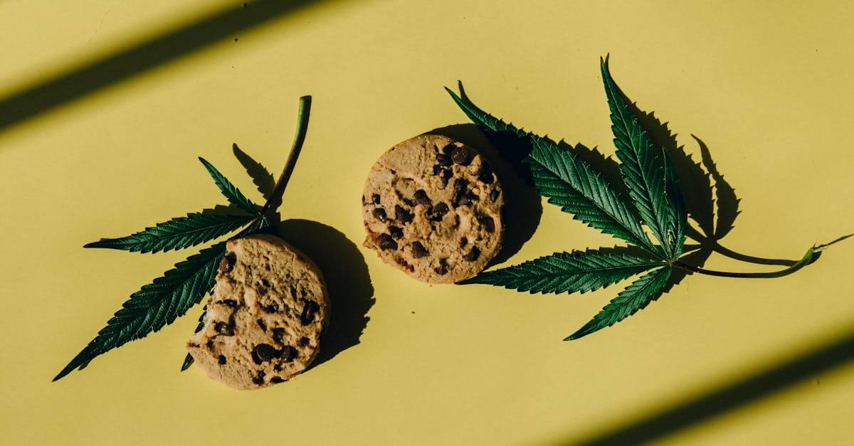 Weed Brownie Recipe Thc Butter