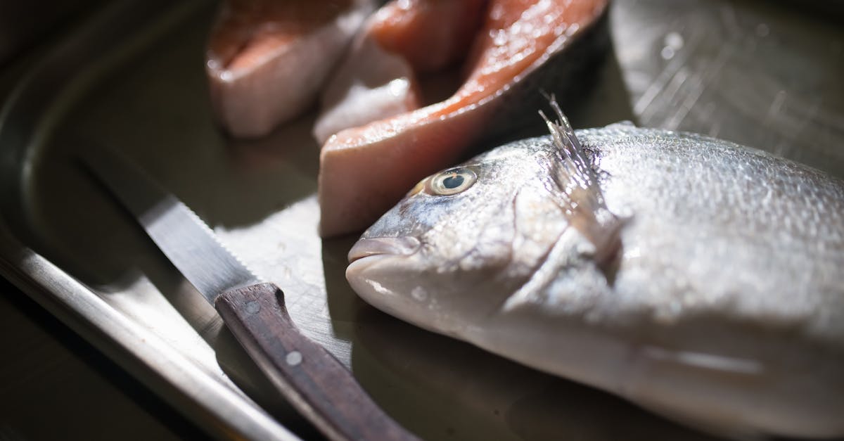 Atlantic Wolffish Recipe