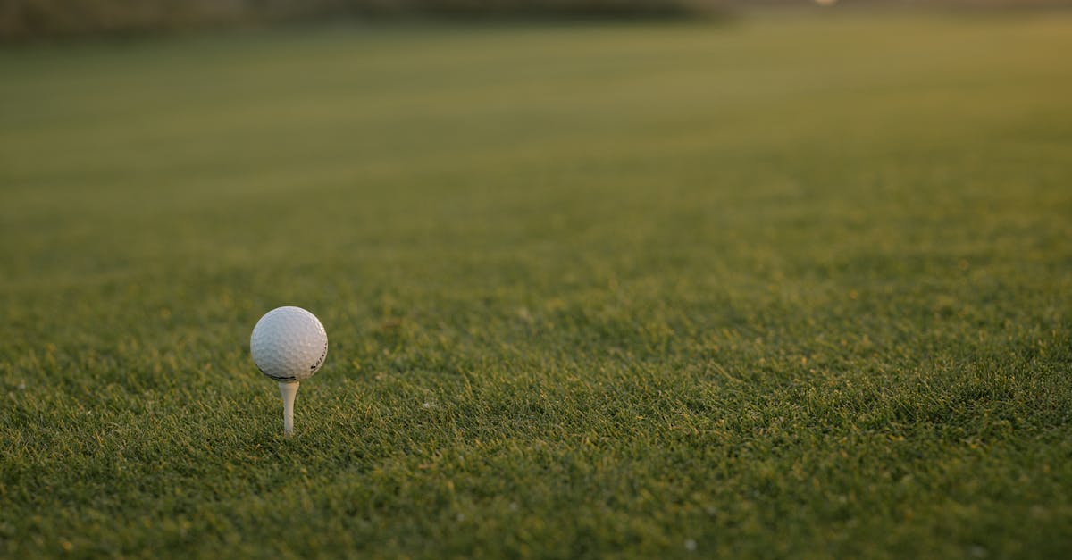 Golf Course Divot Mix Recipe