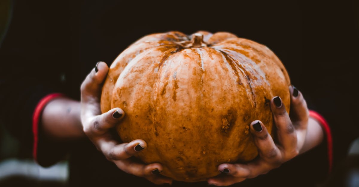 Acorn Squash Indian Recipes