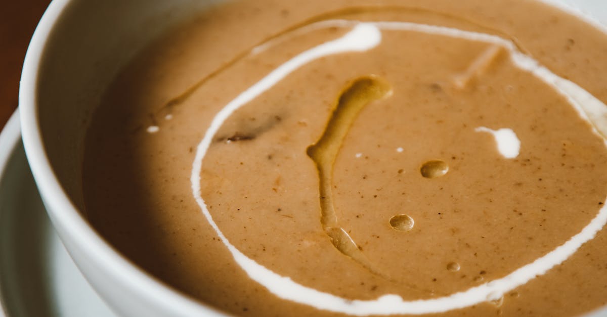 Low Fodmap Soups Recipes