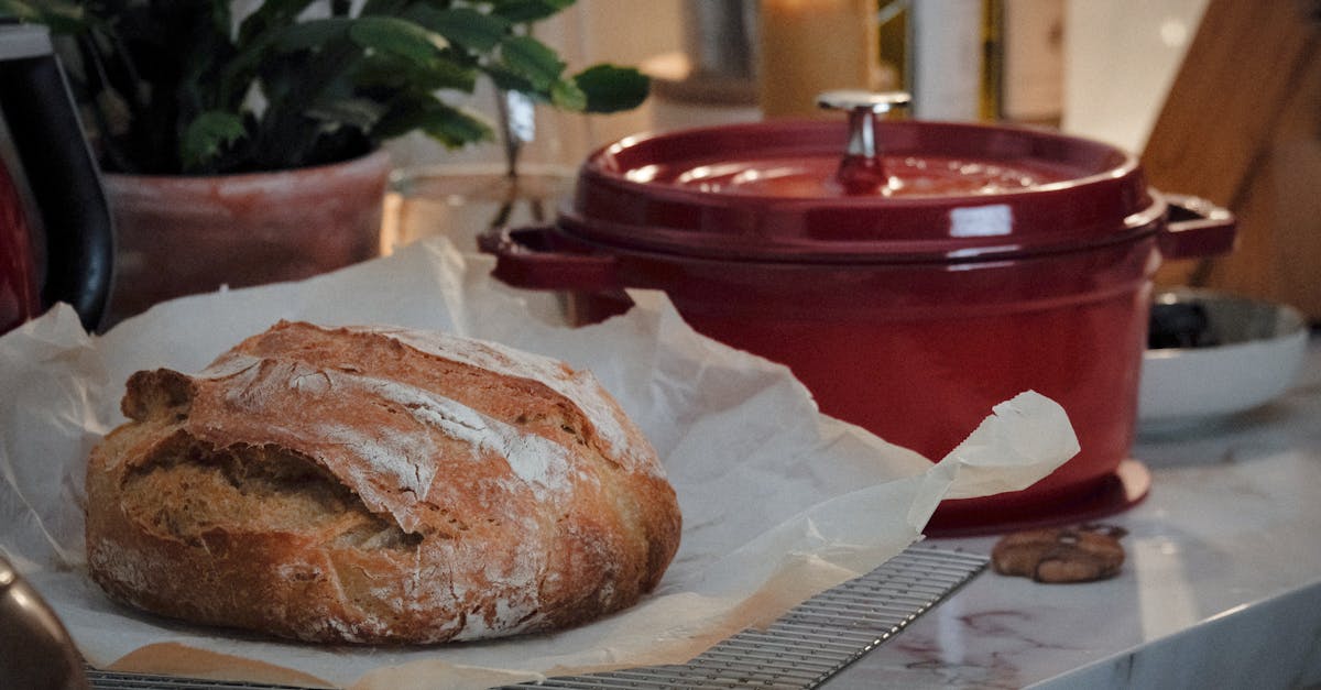 Instant Pot Dutch Oven Recipes