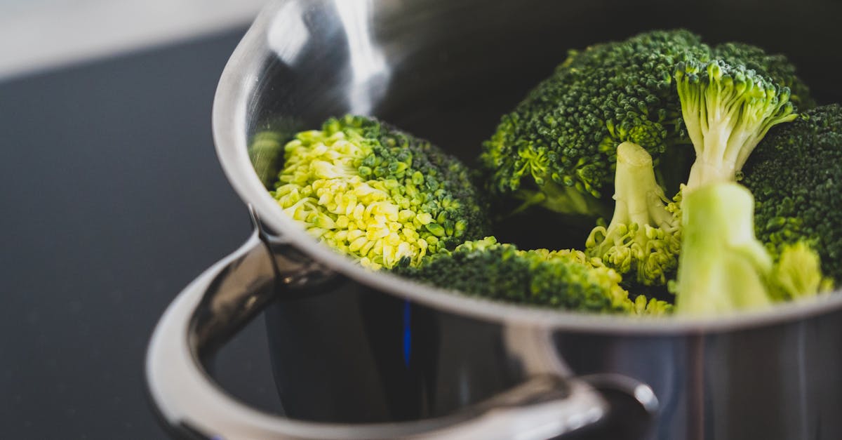 Macro Friendly Crock Pot Recipes