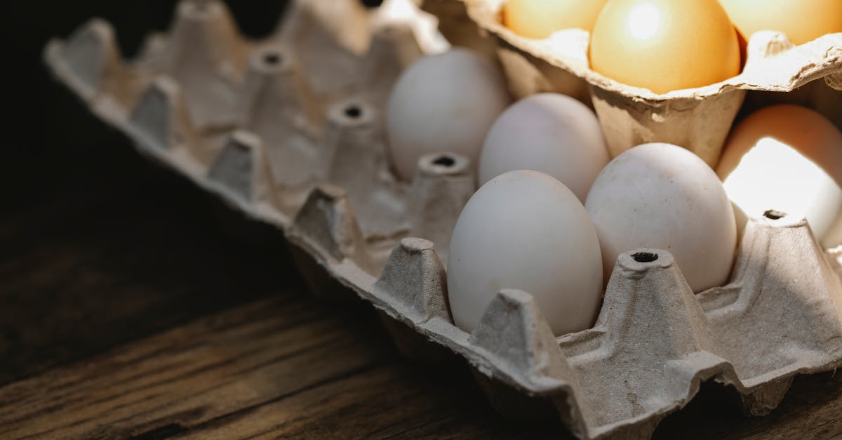 Recipes For Auguson Farms Chicken