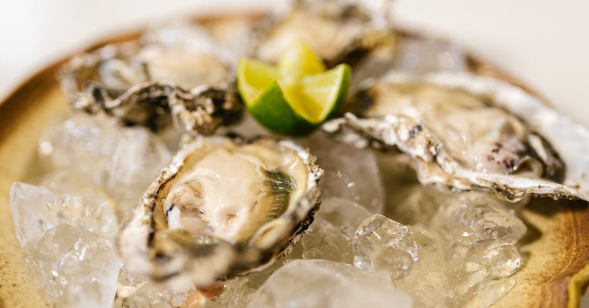 Chicken Of The Sea Oysters Recipes