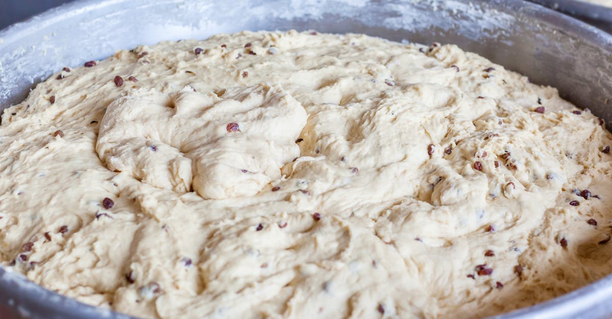 Pumpernickel Raisin Bread Recipe