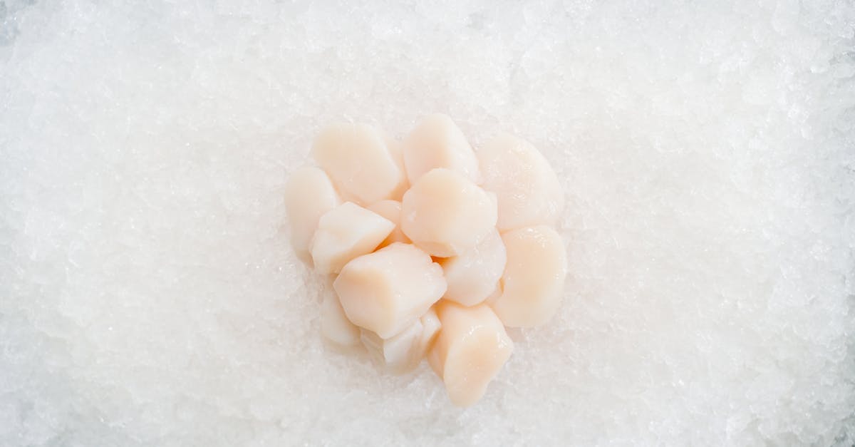 Scallop Sashimi Recipe: How to Make Fresh, Delicious Scallop Sashimi at Home