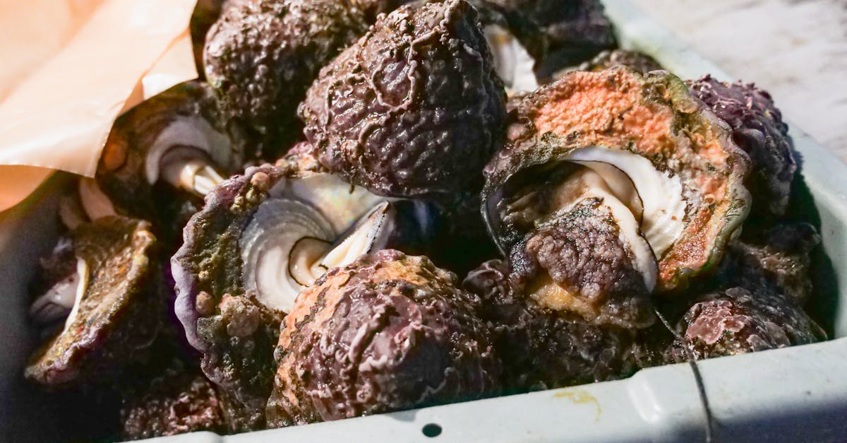 Chicken Of The Sea Oyster Recipes