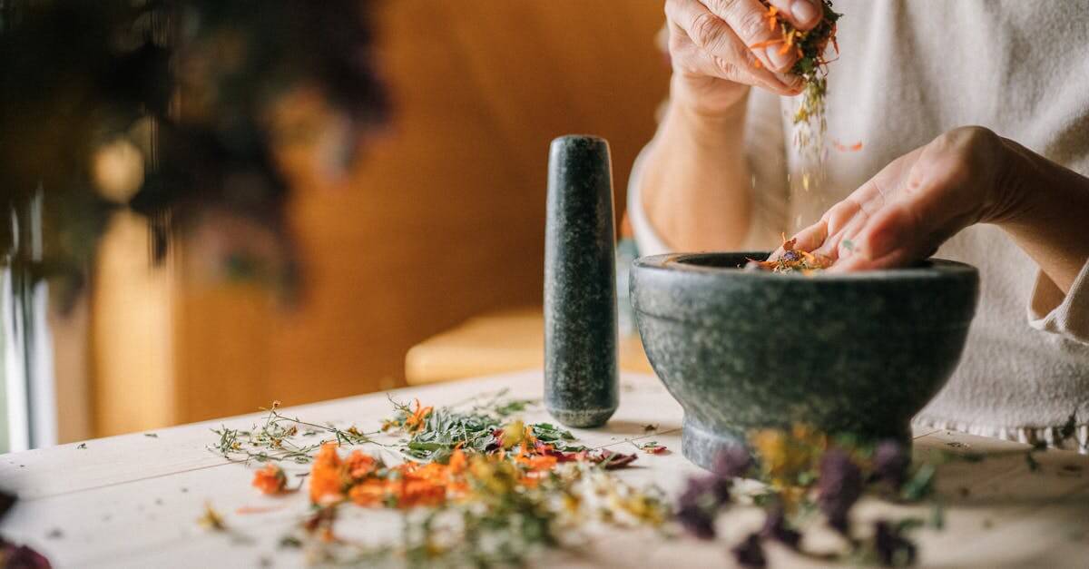Garden Therapy Diy Garden Projects Yummy Recipes Crafty Goodness