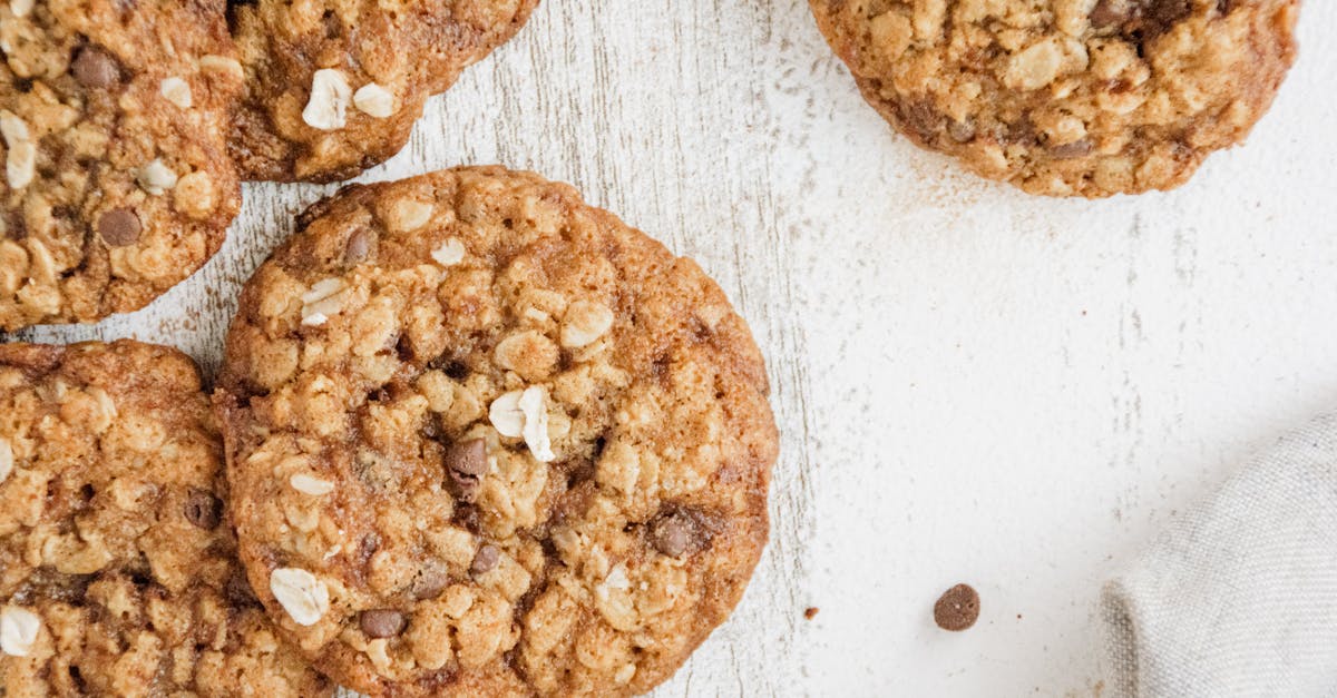 Gomacro Oatmeal Chocolate Chip Recipe