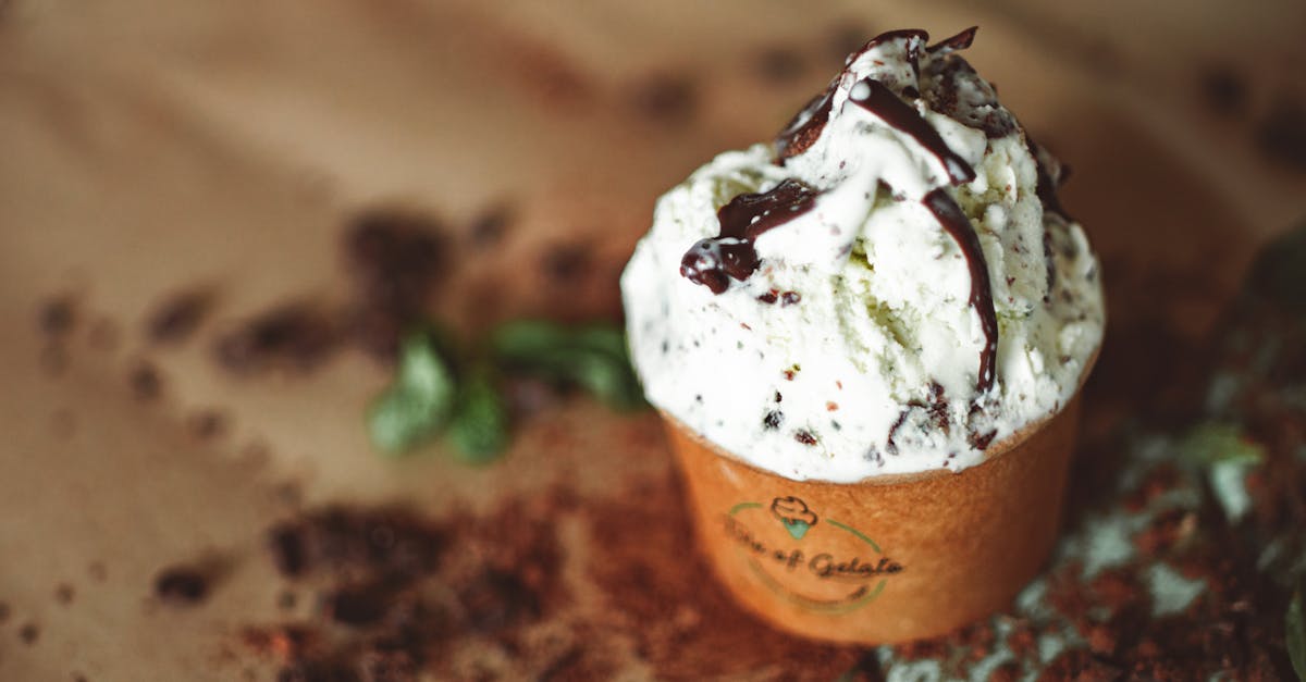 Mint Chocolate Chip Creami Recipe