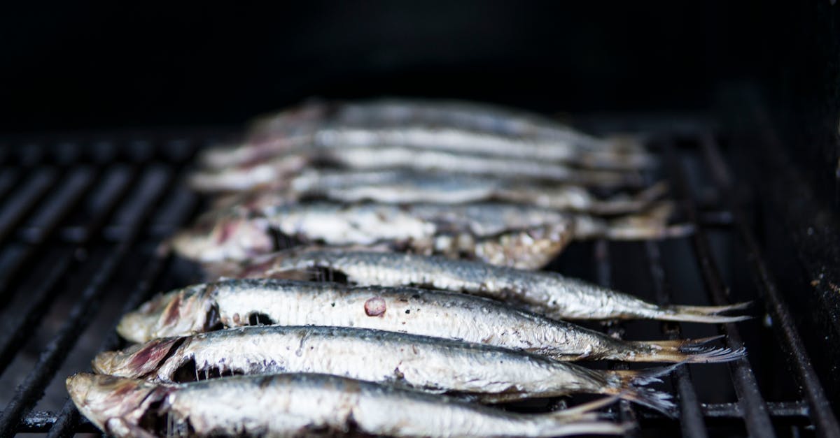 Brine For Smoked Fish Recipe