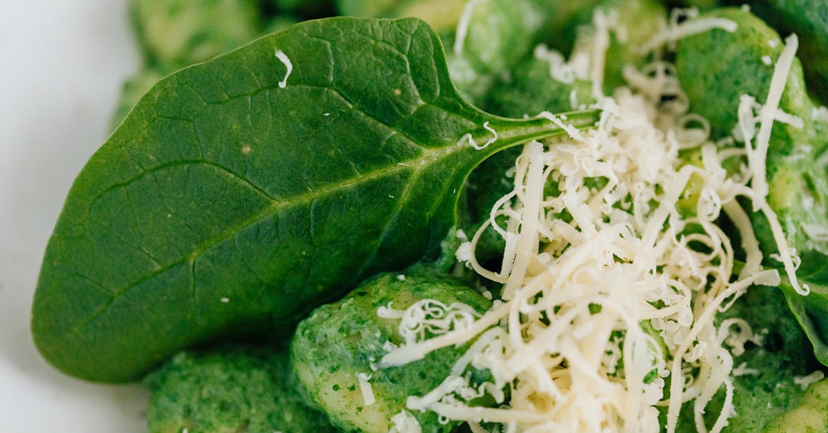 Anne'S Dumpling Recipe