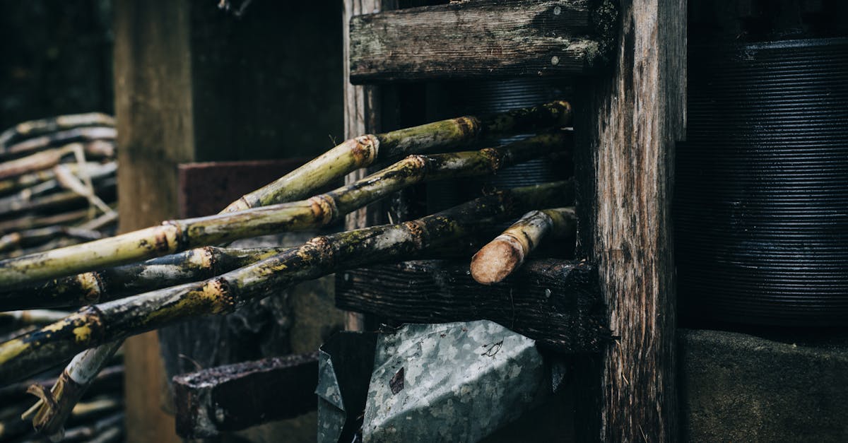 Recipes With Cane Syrup