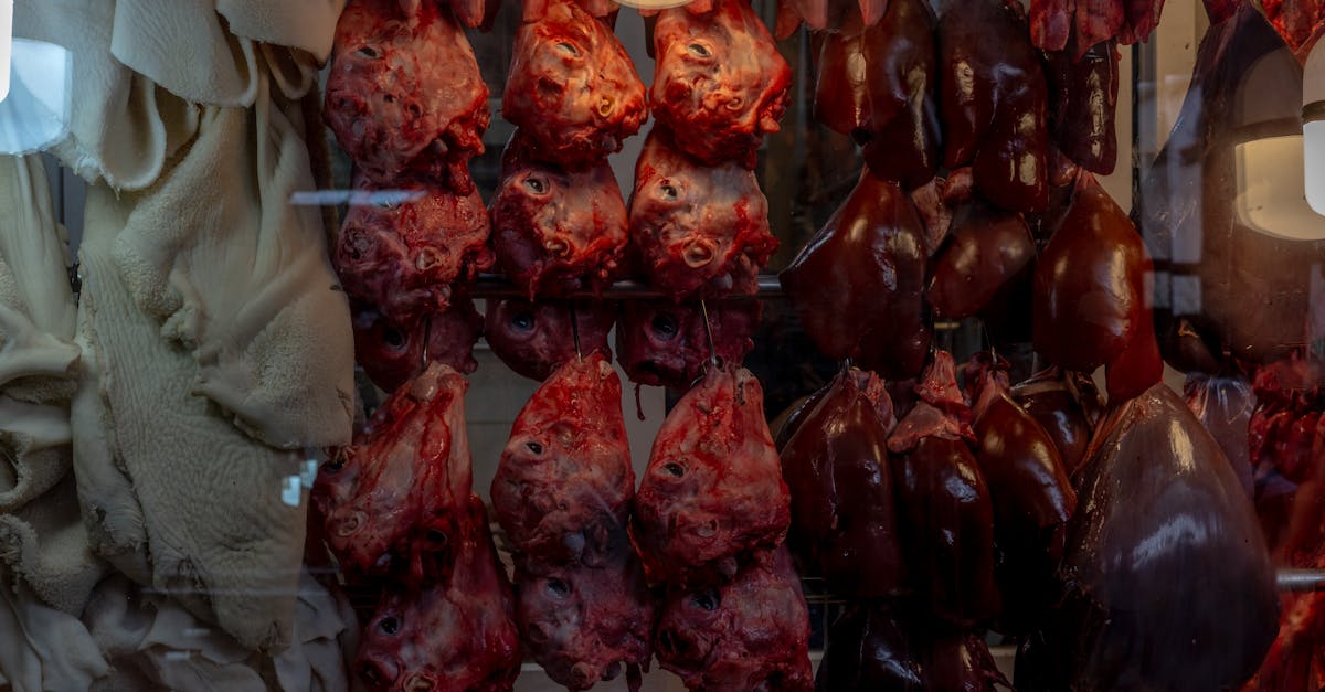 Carnivore Liver Recipes