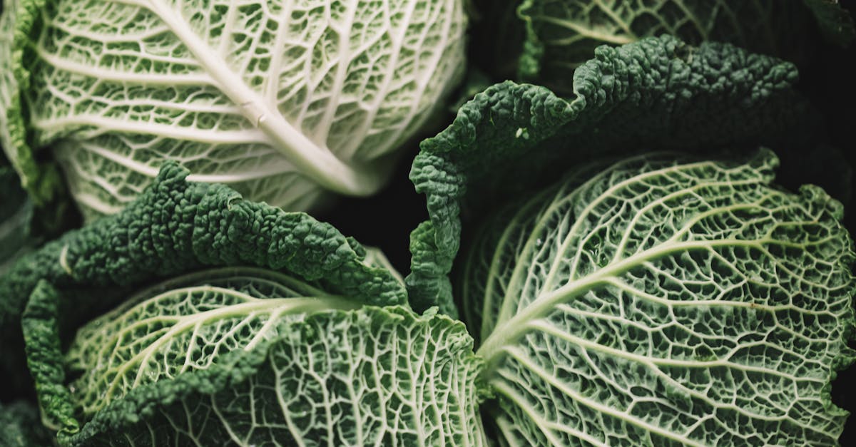 Brassica Copycat Recipes