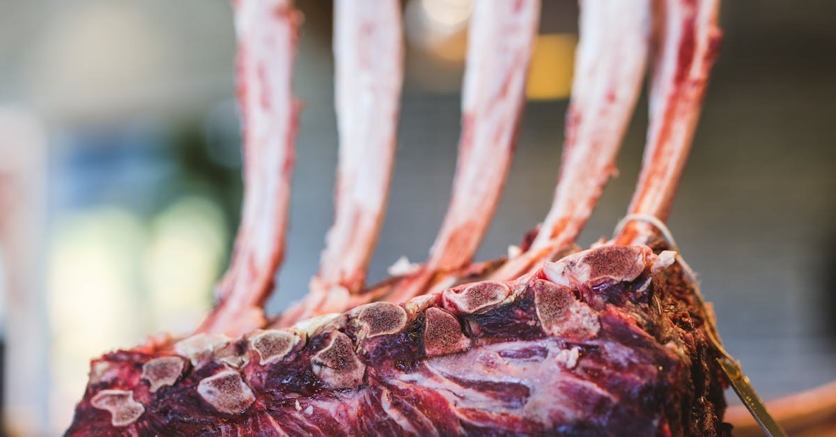 Jerk Lamb Chop Recipes
