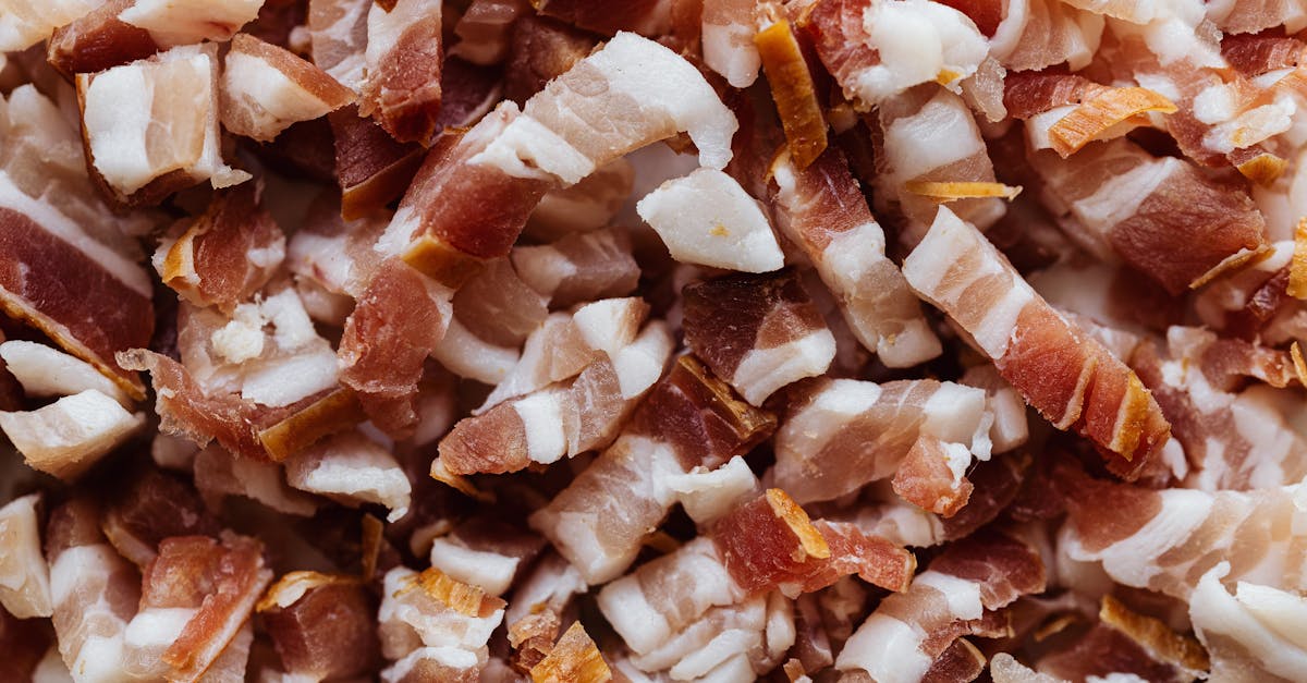 Low Fat Dog Food Recipes For Pancreatitis