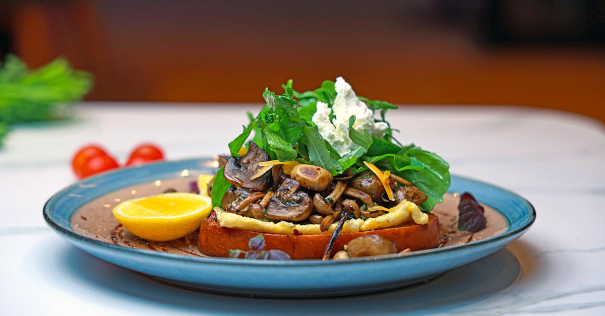 Ricotta Sandwich Recipes