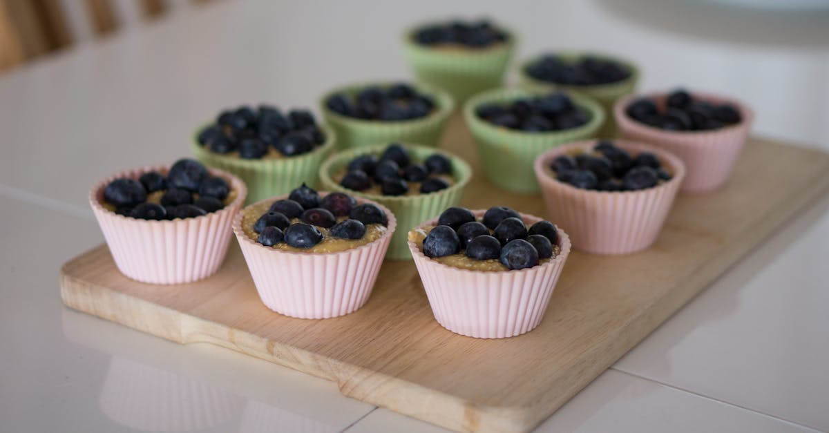 Otis Spunkmeyer Blueberry Muffins Recipe