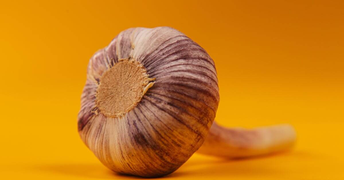 Mediterranean Paleo Recipes