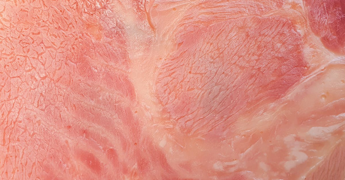 Hormel Smoked Ham Recipes