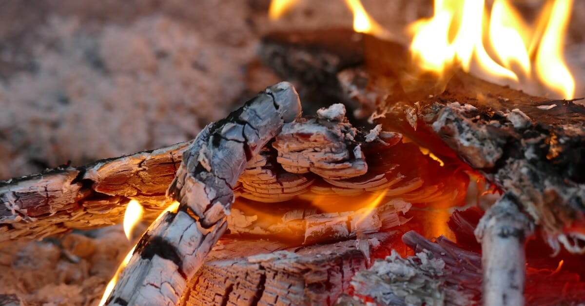 Winter Camping Recipes
